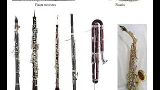 Instrumentos Musicales [upl. by Eynttirb]