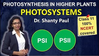 Photosystems Photosynthesis in higher plants [upl. by Maude39]