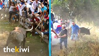 Bull goes mad at bullfighting fair escapes and destroys everything [upl. by Clayson946]