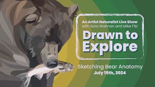 Sketching Bear Anatomy  Drawn to Explore [upl. by Peednama]