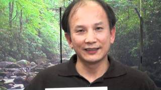 100 Days of Spring Forest Qigong  an Energy Tip from Master Chunyi Lin [upl. by Shiroma]