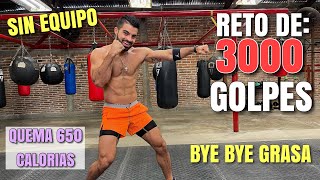 HIIT de Boxeo en Casa 38 Minutos Reto de 3000 Golpes Sin Equipo [upl. by Ailedamla]