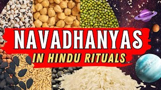 Navadhanya The Sacred Nine Grains in Hindu Culture [upl. by Midge]