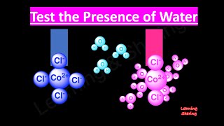 Test the Presence of Water Blue CobaltII Chloride Pink Hexahydrate CobaltII Chloride [upl. by Wilkie]