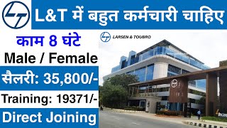 LampT Recruitment 2024  LampT Job vacancy 2024  Private company job vacancy 2024  Jobvalley [upl. by Mascia]