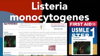 Listeria monocytogenes in HindiUrdu by first aid for USMLE step 1 [upl. by Klein]