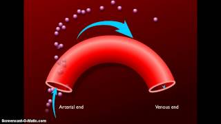 Intercambios de fluidos en los capilares [upl. by Hgeilhsa]