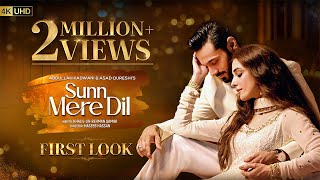 Sunn Mere Dil  First Look  Ft Wahaj Ali Maya Ali  Har Pal Geo [upl. by Ennovahs]