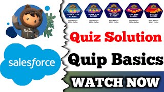 Quip Basics  Salesforce Trailhead  Quiz Solution [upl. by Ainival]