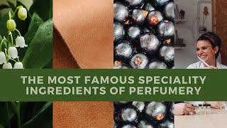 The most famous compositions and speciality ingredients of perfumery [upl. by Jacenta951]