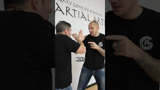 Boxing vs Wing Chun Which one wins [upl. by Lehcin]