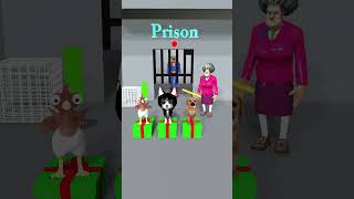 Chicken Cat cute Vs poor Dog Which animal can rescue Superman Dog from prison cat dog [upl. by Jonina37]