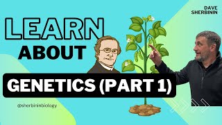 Intro to Genetics part 1 [upl. by Evslin]