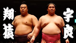 大相撲 翔猿ー宇良＜令和５年五月場所１２日目＞SUMO [upl. by Arica]