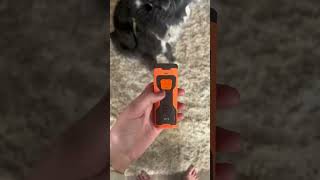 NPS 2023 Release Dog Barking Control Devices  Professional Anti Barking Device [upl. by Einre]