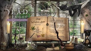 Herbal Magic Ambience 🧹🌿🌻✨  A Day of Herbal Spells amp Rituals  The Dead of Night Book of Shadows [upl. by Marcellina]