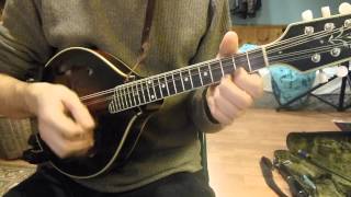 Pear Tree  Traditional Fiddle Tune on Mandolin [upl. by Darees]