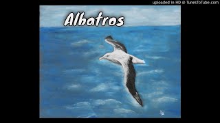 Albatros original [upl. by Habeh]