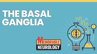 Basal Ganglia Mnemonics Memorable Neurology Lecture 4 [upl. by Mancino]