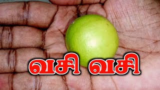 vasiyam spiritualtips pariharam Kali manthirigam [upl. by Dine475]