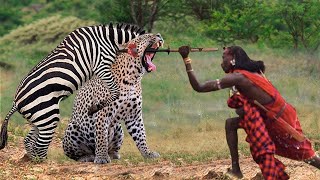 OMG Maasai Aboriginal Warrior Take Down Cheetah To Rescue for Zebra  Lions Leopard vs Zebra [upl. by Natsuj]