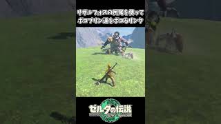 【ティアキン】リザルの尻尾を使ってボコブリン達をボコるリンク【ゼルダの伝説 ティアーズ オブ ザ キングダム】 [upl. by Azalea467]