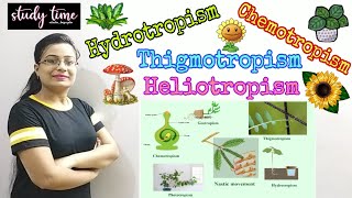 Tropic Movement in Plant Hydrotropism Thigmotropism Chemotropism Heliotropism Part5 ICSE 10 Bio [upl. by Greabe]