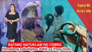 full video  Kapuso Mo Jessica Soho natuklaw ng Cobra himalang nakaligtas [upl. by Malet998]