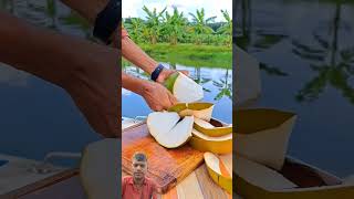 Coconut fruit cutting coconut food fruit oddlysatisfying satisfying [upl. by Faustus121]