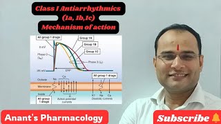 Class I Antiarrhythmics Use dependent blockadeIa Ib Ic [upl. by Akessej]