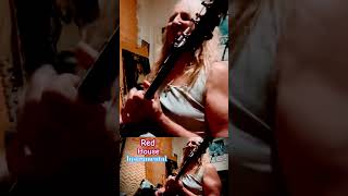 Red House Instrumental bluesrock electricguitarcover [upl. by Skeie]