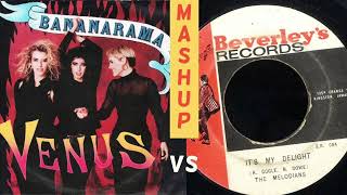 Bananarama vs The Melodians EARLY REGGAE MASHUP [upl. by Namijneb]