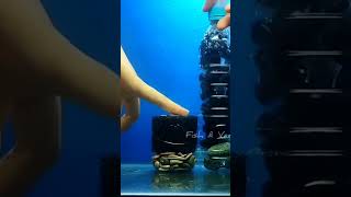 Adjustable aquarium filter  Super strong fish tank filter in the world [upl. by Yekcor647]