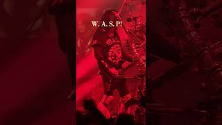 WASP LIVE IN BOISE IDAHO manicbeastboise [upl. by Nairda223]