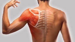 how to fix shoulder tendonitis [upl. by Edora]