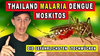 THAILAND MALARIA DENGUEFIEBER und ANDERE KRANKHEITEN Stechmücken in Thailand [upl. by Clywd68]