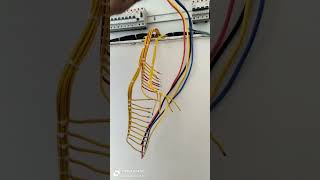 Nurul Electrical work I dp wiring dressing electrician shortvideo shorts wiring [upl. by Enelrahs]