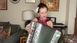 Terry Palasz Historia De Un Amor Accordion [upl. by Mandych]