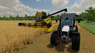 NEW FARM HOLLANDSCHEVELD NO MONEY CHALLENGE HARVESTING OATS FS22 [upl. by Penney227]