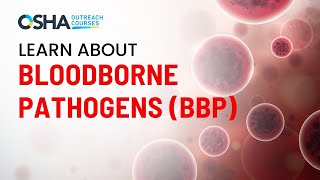 How To Get Bloodborne Pathogens BBP Safety Training and Get Certified  Workplace Safety Courses [upl. by Anesuza]