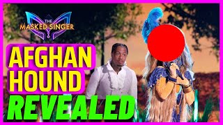 Afghan hound Masked Singer Revealed [upl. by Brietta]