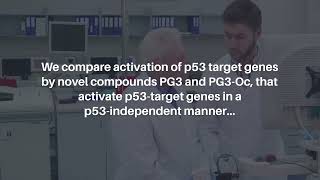 ISR Activation amp Apoptosis via HRI Kinase by PG3 and Other p53 Cancer Therapies  Oncotarget [upl. by Lucey216]