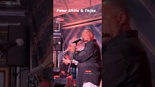 Smooth Vibes at Sea Peter amp Najee Live on the Dave Koz Cruise 2024 [upl. by Reichert638]