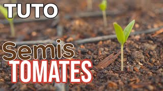 TUTO 2  Semis de tomates [upl. by Feil]