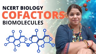 Cofactors  Biomolecules  Class XI  NEET [upl. by Stegman]