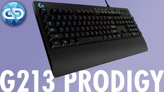 Logitech G213 Prodigy Review  DER BESTSELLER UNTER DEN GAMING TASTATUREN [upl. by Lavena]