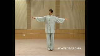 ¿HAS VISTO LA FORMA PRELIMINAR DAOYIN QIGONG MAWANGDUI [upl. by Ellerrehc745]