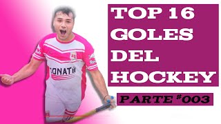 TOP 16 GOLES DEL HOCKEY  Play Off  Liga blumendaal [upl. by Yllut]