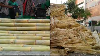 Sugarcane Bagasse Treatment  Innovative Design [upl. by Nae]