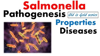 Salmonella typhi microbiology  pathogenesis infection disease treatment [upl. by Necila]